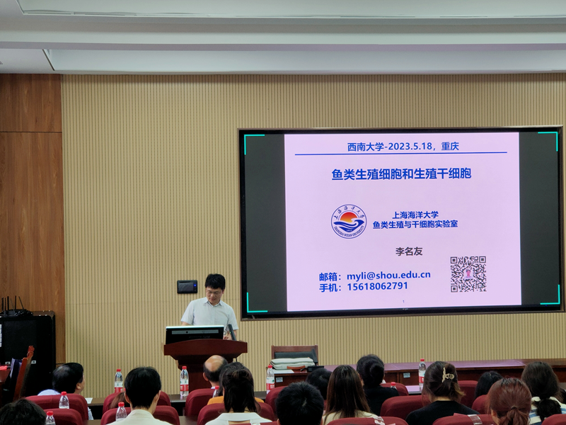 图片2_副本.png