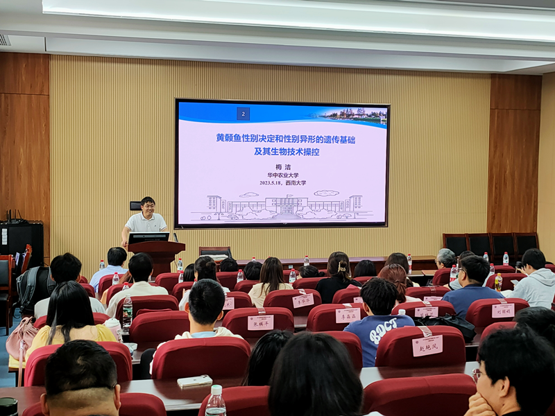 图片1_副本.png