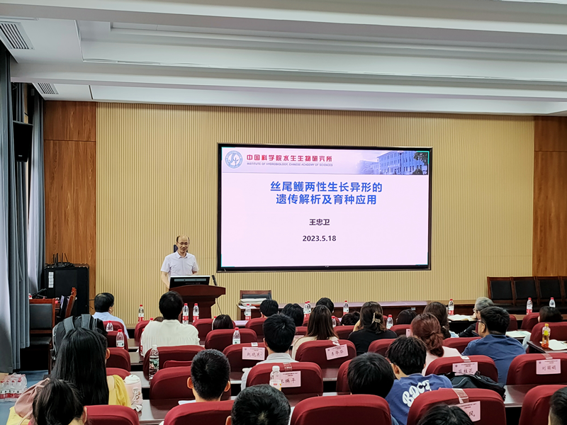 图片3_副本.png